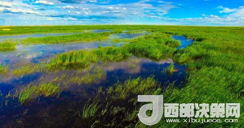 呼倫湖濕地。吳勇攝
