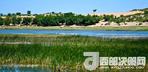 阿魯科爾沁保護(hù)區(qū)濕地沙丘。吳勇攝