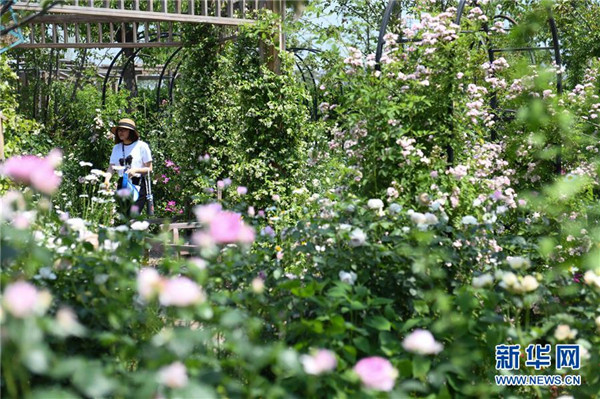 (新華視界)(5)樂享“五一”假期