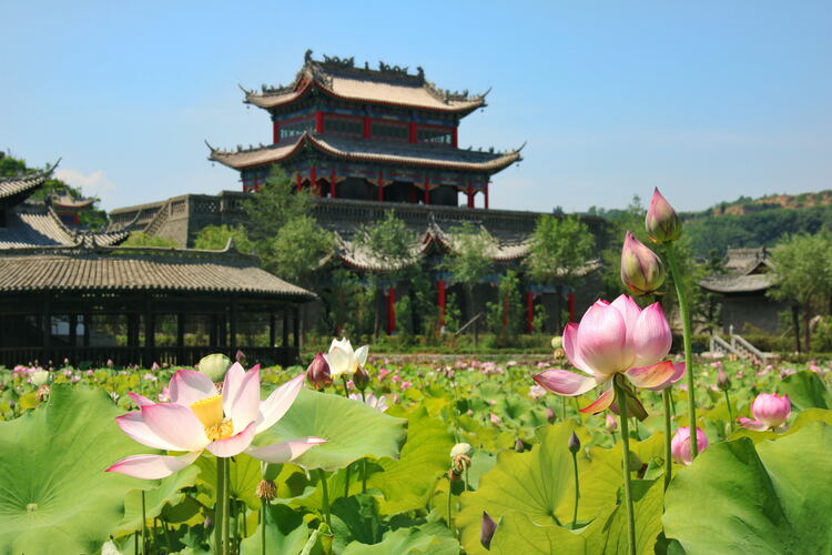 【云游渭南】心中若有桃花源，此處便是水云間！待疫情散盡，一起來渭南桃花源賞美景、觀民俗、享美食_fororder_2